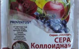 Сера пищевая, очищенная, для лечения прыщей — 550 руб. 300 г.