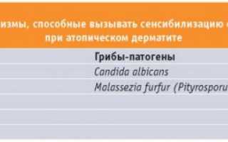 Как отличить грибок на руках от дерматита