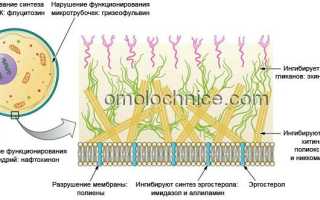 Клотримазол таблетки – инструкция по применению препарата